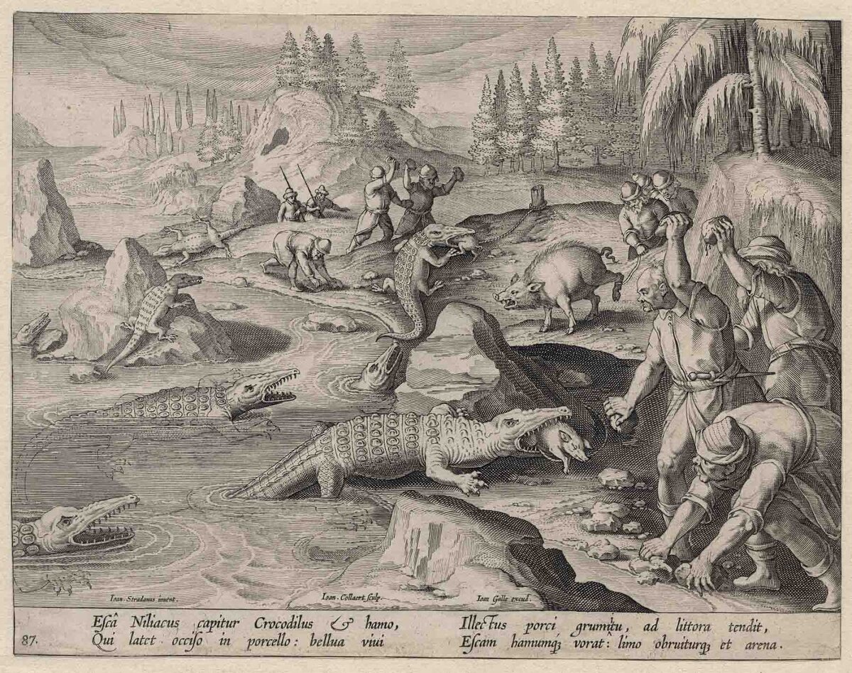 Гравюра Яна Колларта II «Охота на крокодилов», 1596.jpg
