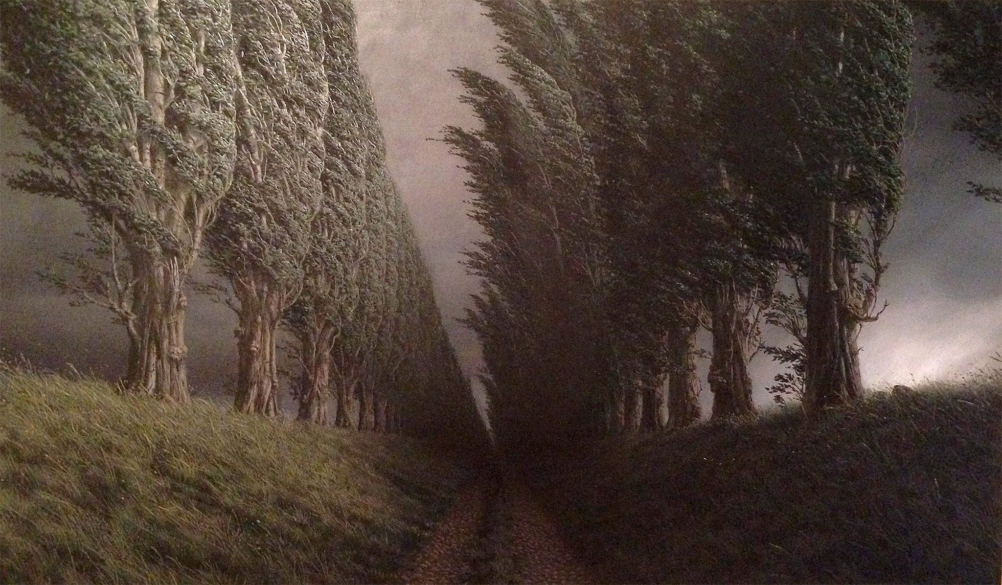 Poplars in Storm, Markus Matthias Krüger, 2010.jpg