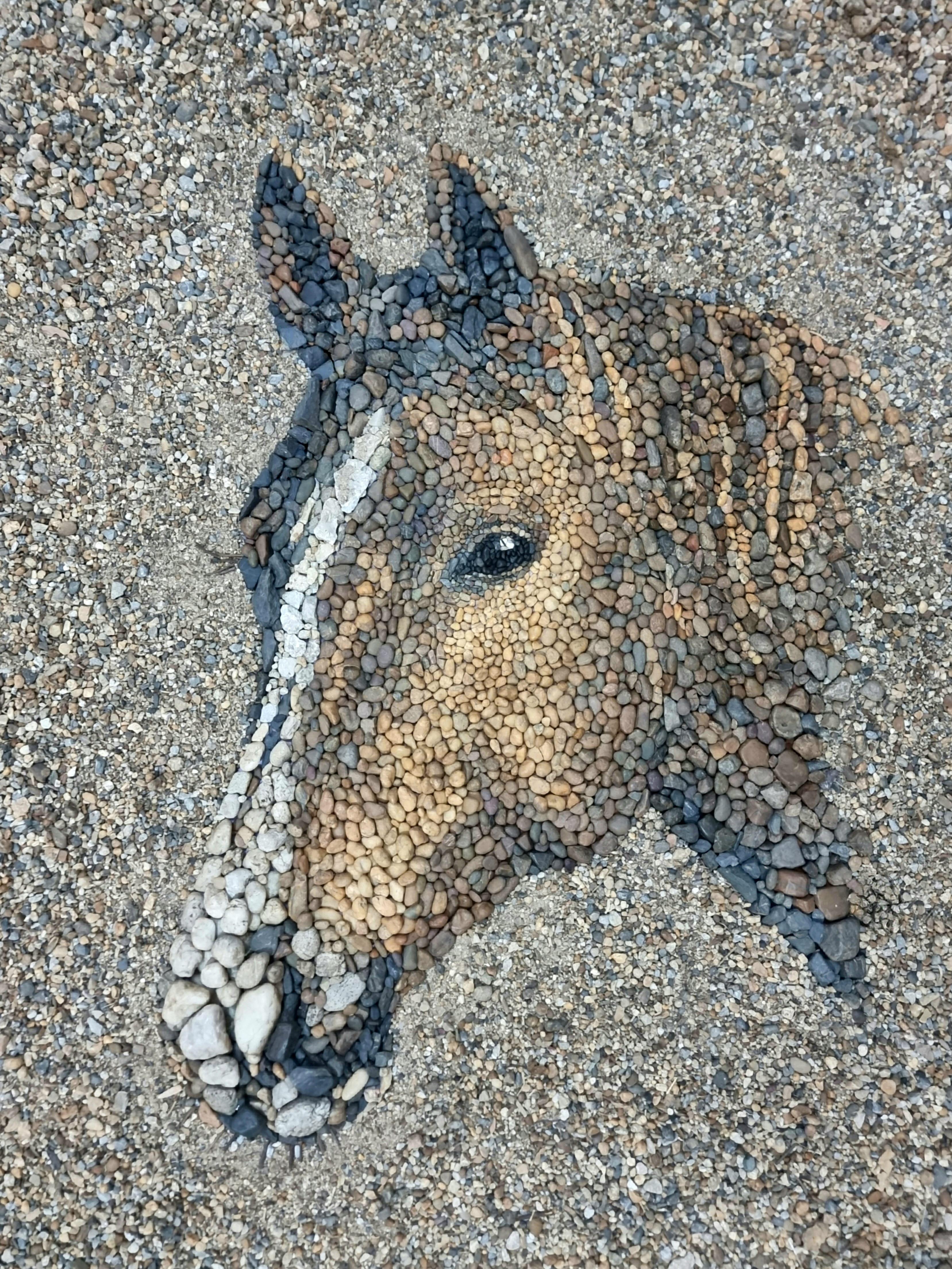 Horse (2023). Impermanent artwork using pebbles by Justin Bateman.jpg