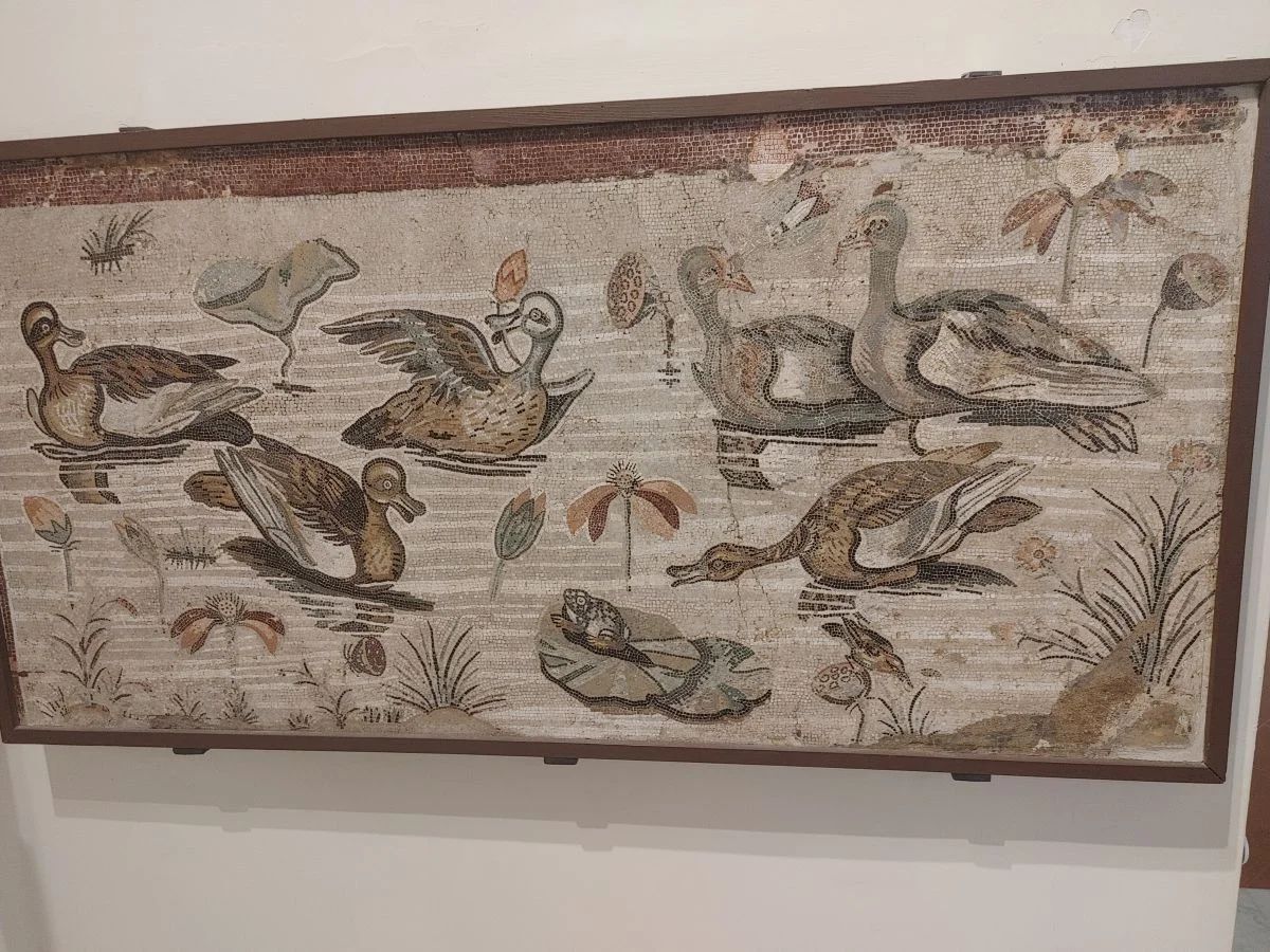 Roman mosaic showing ducks, birds and frogs on the water. The object was discovered in the Faun’s House in Pompeii. The artifact is in the National Archaeological Museum in Naples; dated to the 1st century BCE.jpg