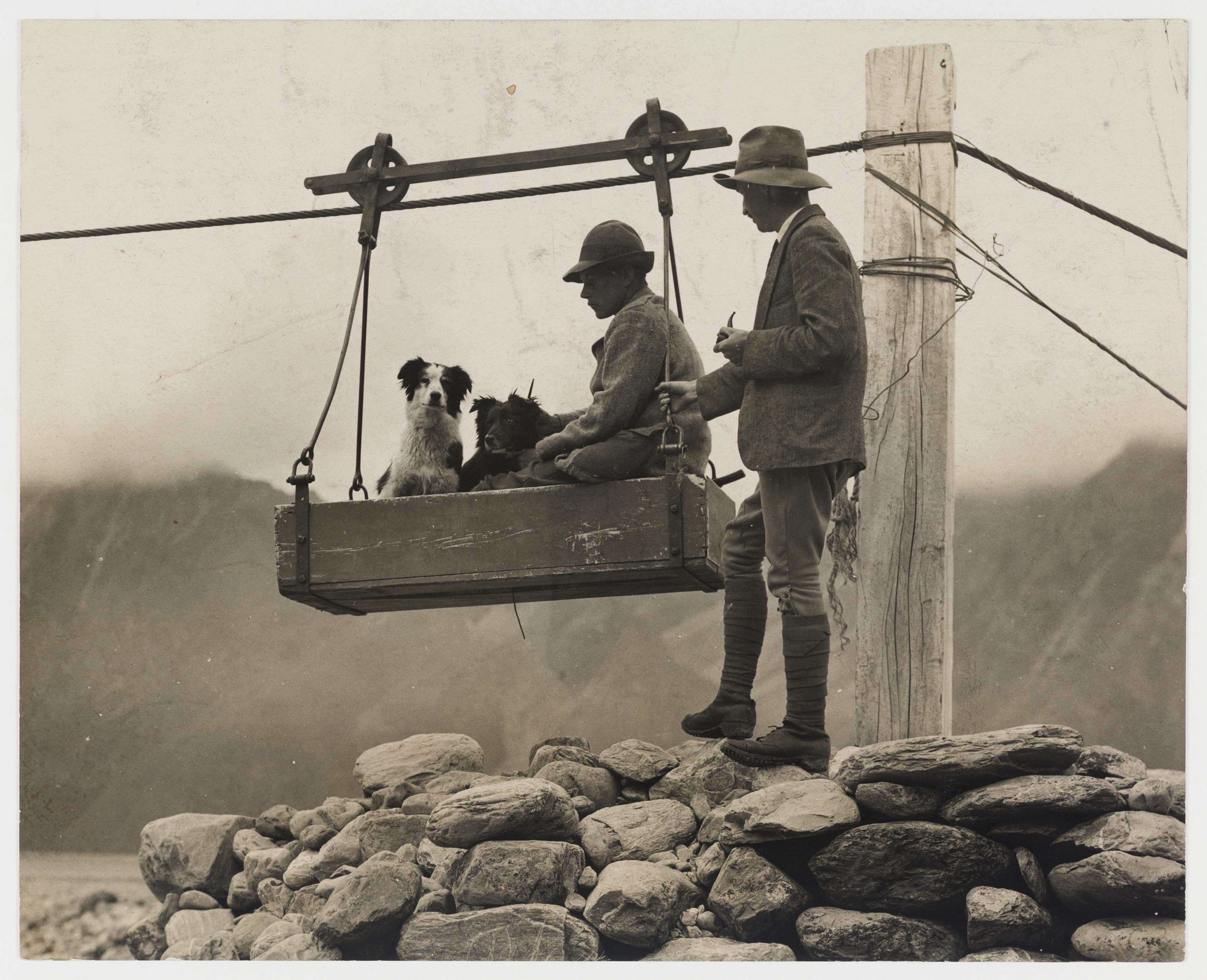 Dog Ride, New Zealand - dated between 1898-1904.jpg