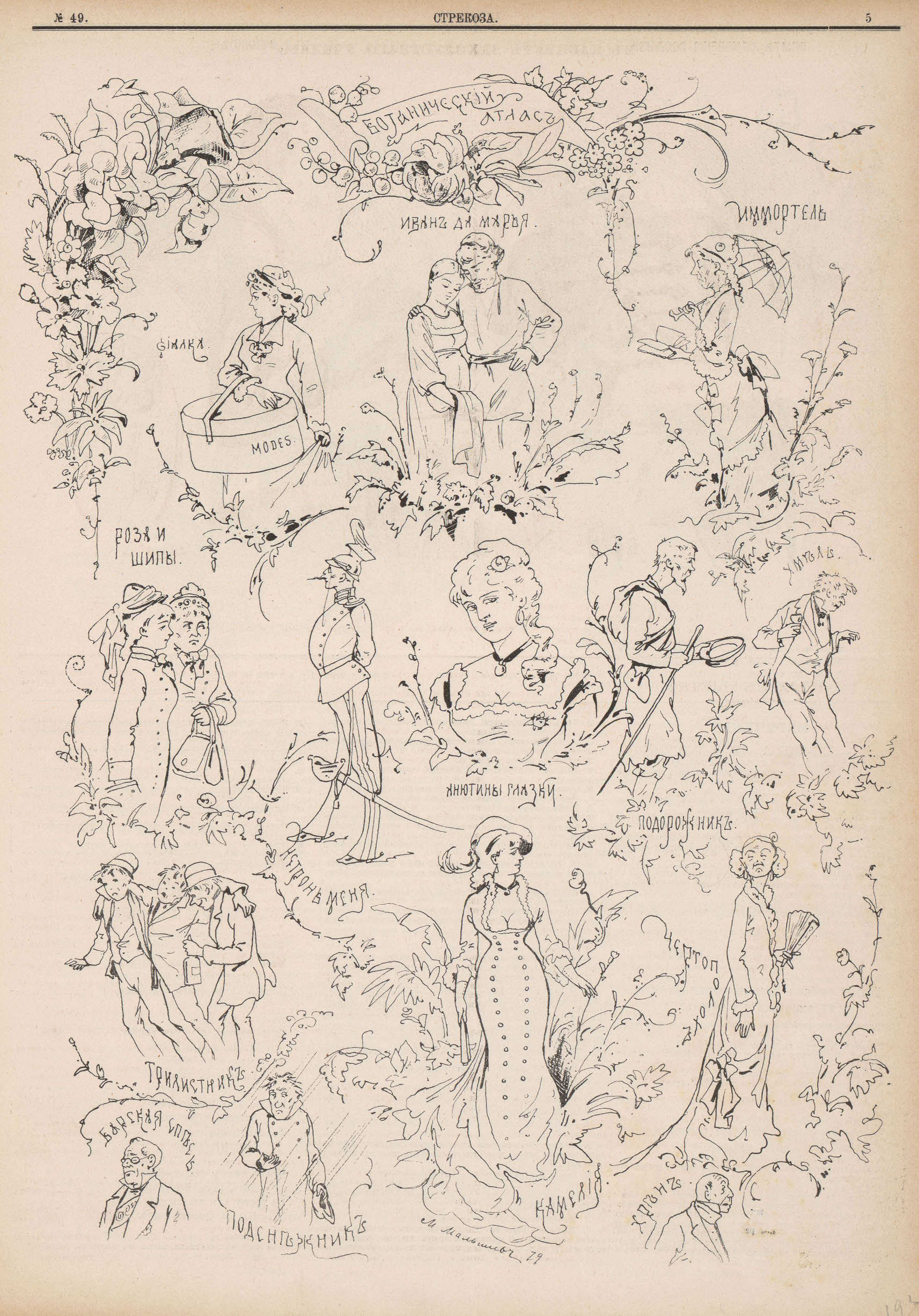 Малышев М.Г. Ботанический атлас — Стрекоза_1879_№_49, с. 5.jpg