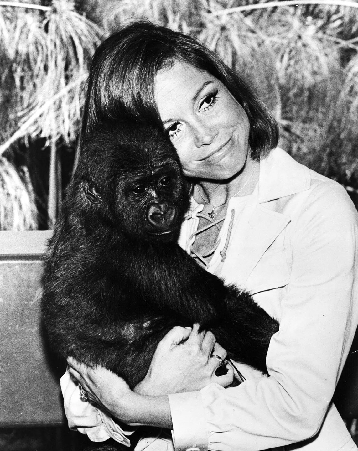 Mary Tylor Moore with Lina, a baby lowland gorilla, at the Los Angeles Zoo, 1974.jpg