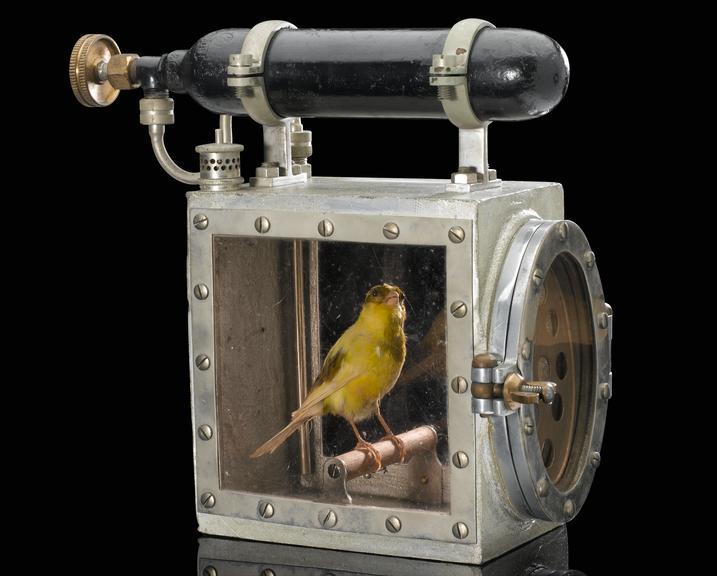 Canary resuscitator, 1920-1930.jpeg