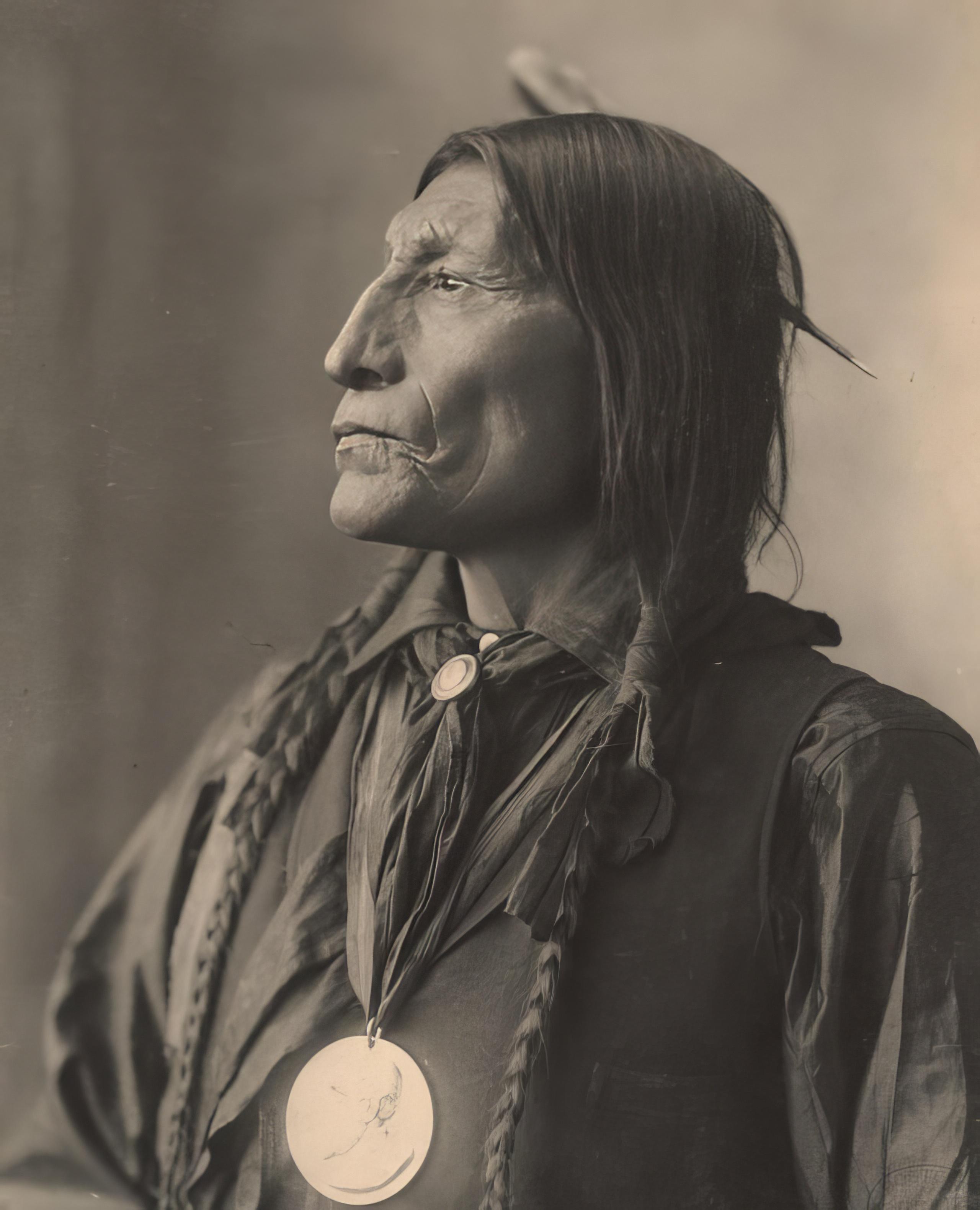 Chief Wolf Robe 1899 model for the nickel.jpeg