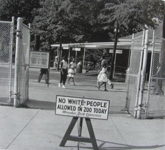 Black Day, the Memphis Zoo, 1959.jpeg