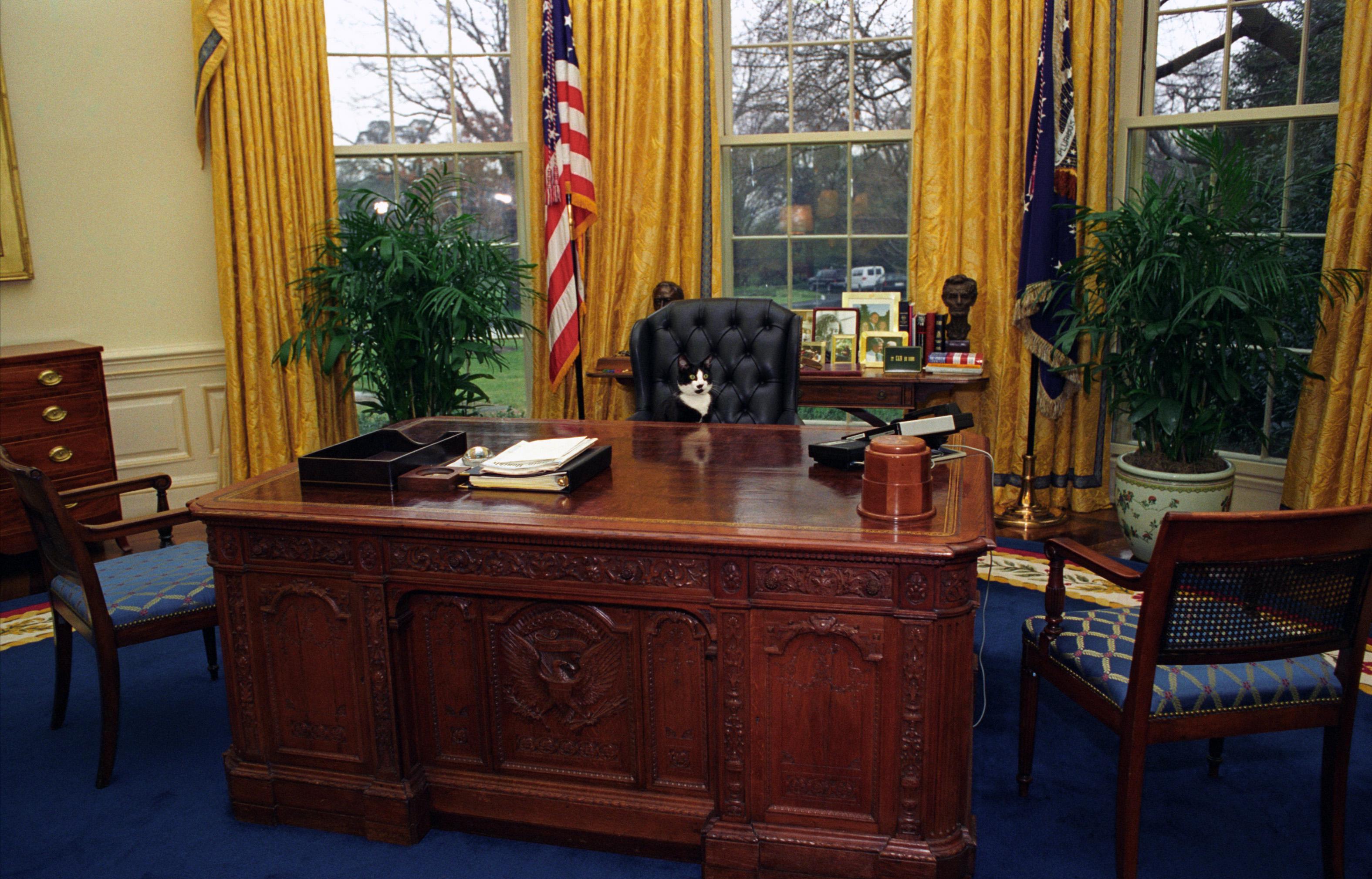 President Bill Clinton's cat Socks behind the presidential desk (1994).jpeg