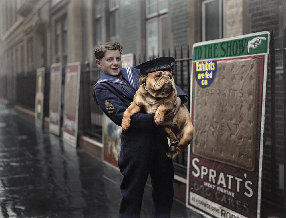 Boy's Bulldog «Beauty» Wins British Dog Show (1928; Okkama Color.).jpg