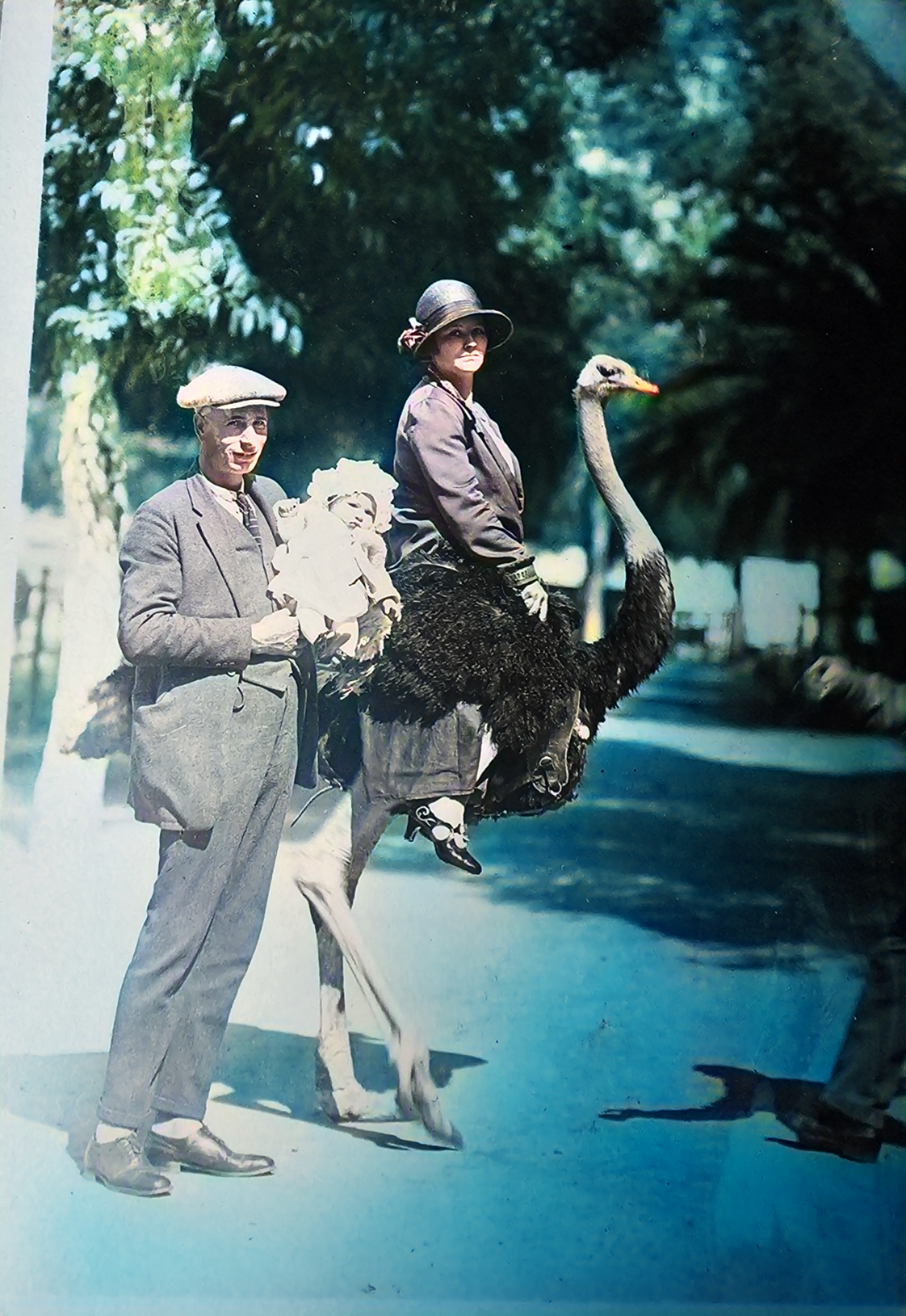 My great grandmother riding an ostrich in 1925.png