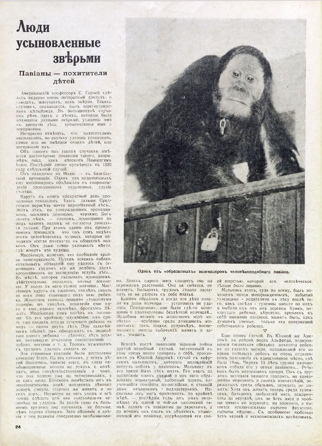 Павианы по версии Иллюстрированной России, 1939 № 22(732).jpg