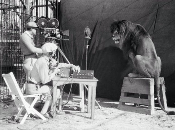 Jackie, the MGM Lion, Hollywood 1929.png