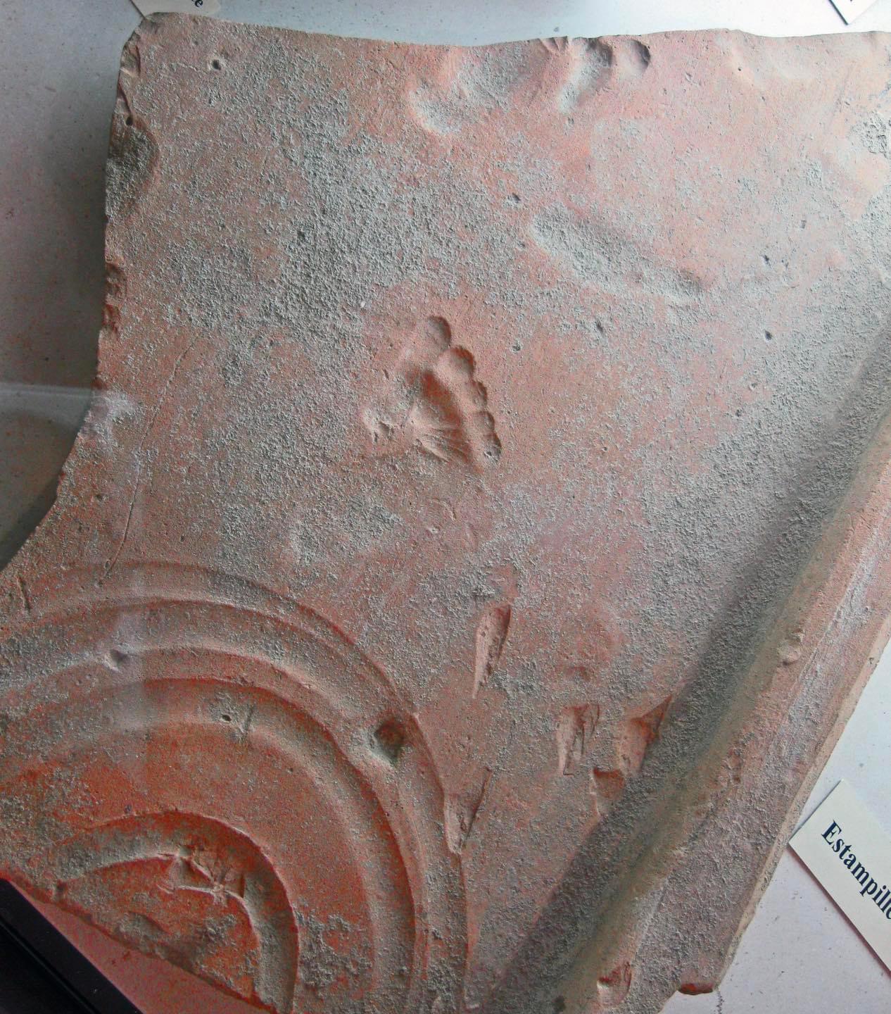 A Roman toddler’s footprint in a red clay tile, imprinted as it was drying ~2000 years ago. Vaison-la-Romaine (ancient Vasio Vocontiorum).jpeg