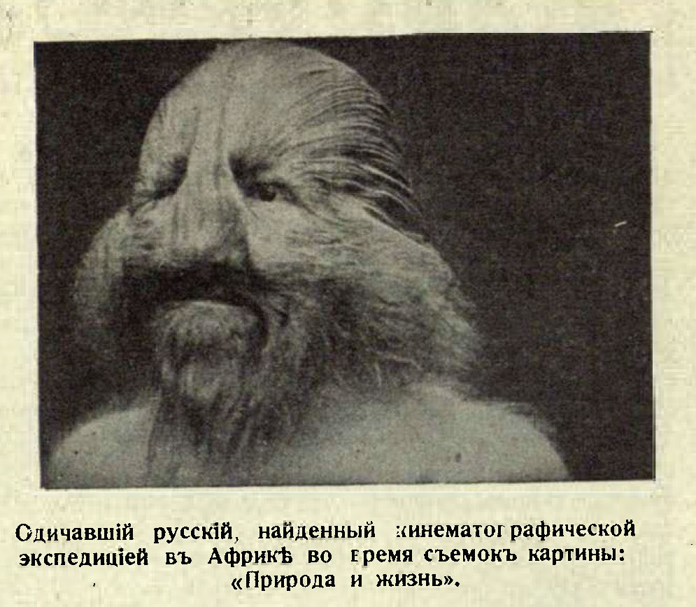 Одичавший русский, найденный в Африке. ИР 1929 № 35.jpg