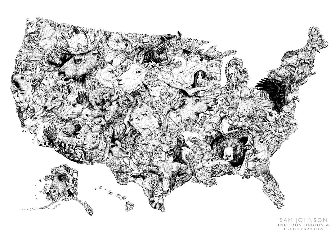 Thanks for your input! The USA Wildlife Map is finally complete ( over 185 unique species ).jpeg