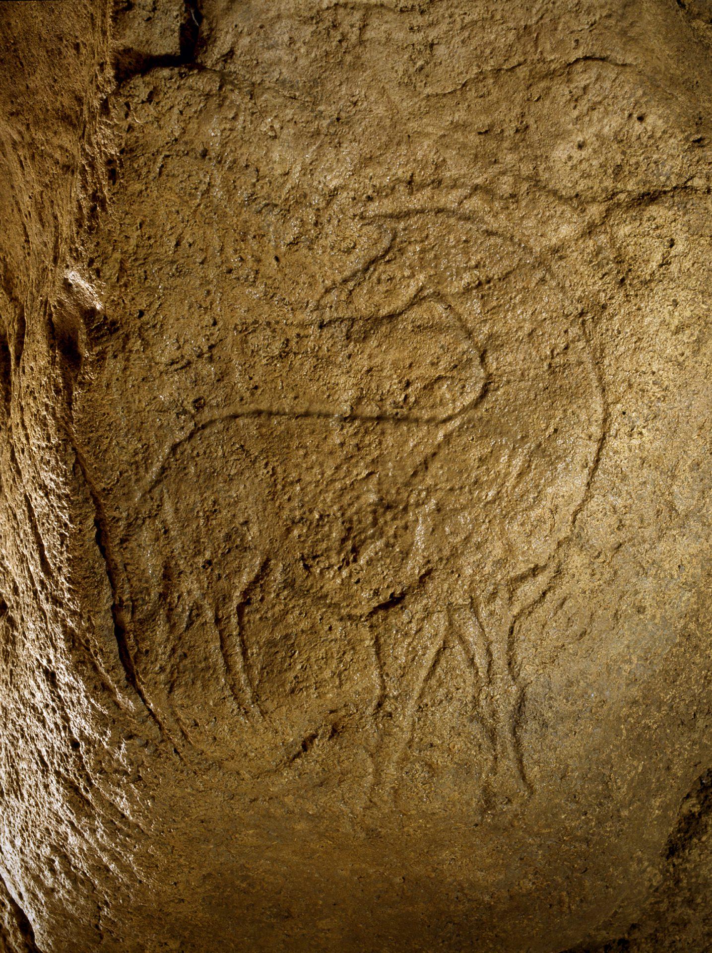 An engraving of a horse looking over its shoulder, located at the Pair-non-Pair Cave in France. 37,000-32,000 years old.jpeg