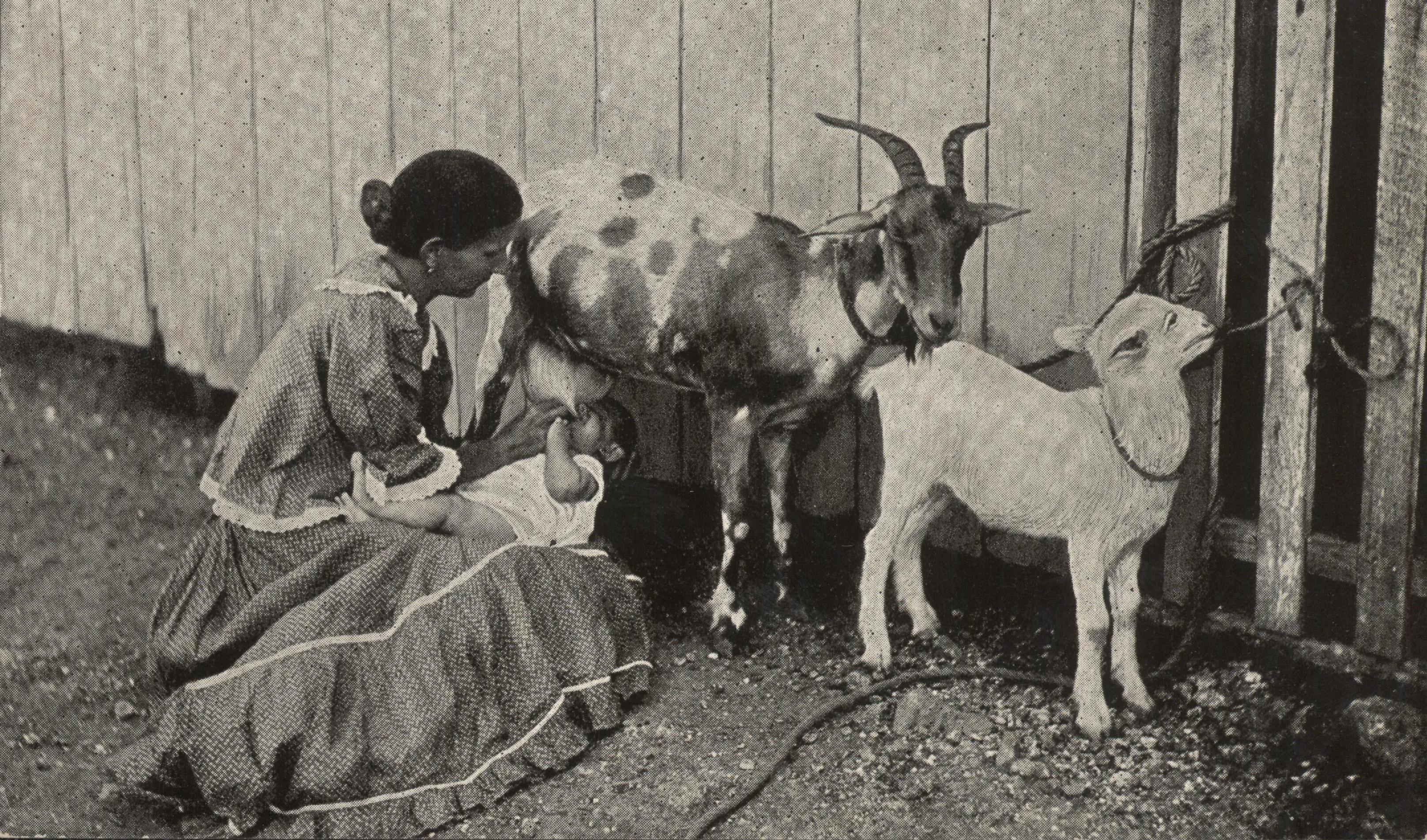 (1,900s) somewhere in Mexico. Mexican mother feed baby goat milk.jpeg