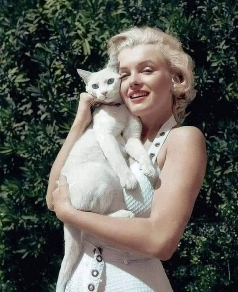 Marilyn Monroe, 1950s.jpeg