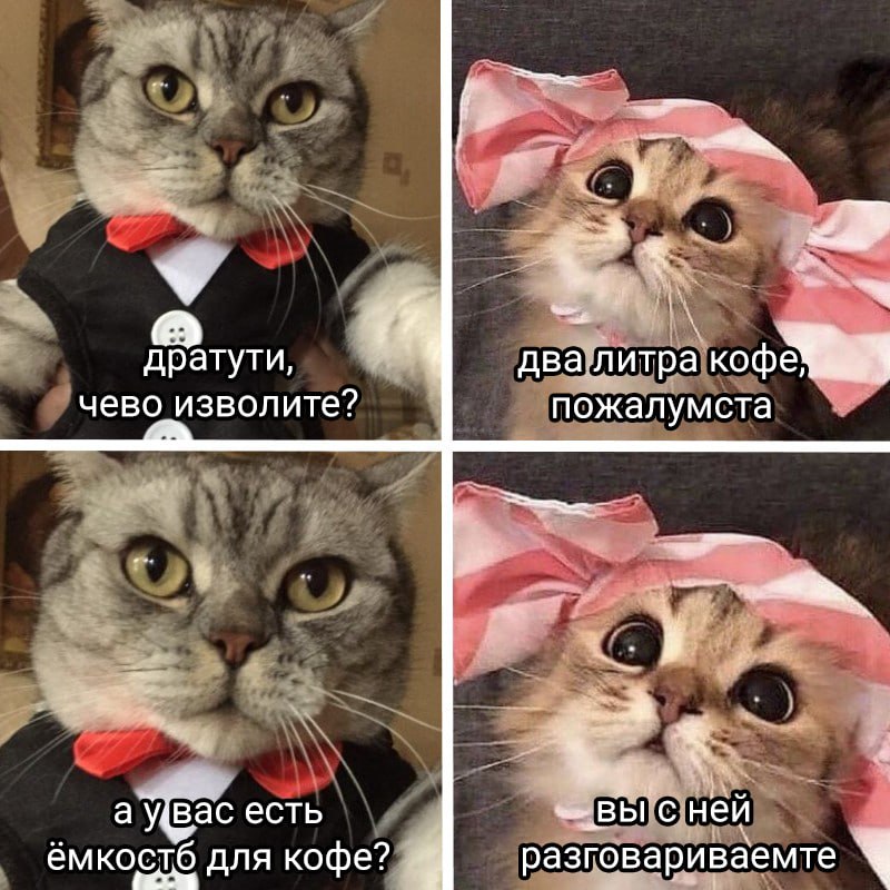 barista(с) t.me—katicide.jpg