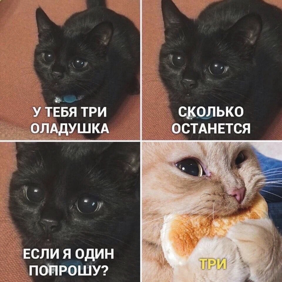 trio(с) t.me—katicide.jpg