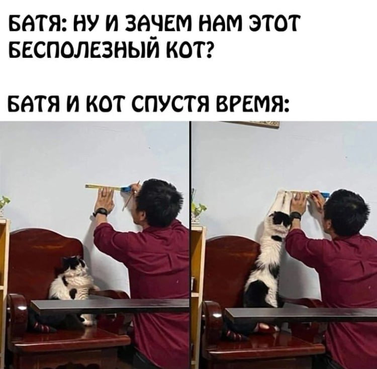 later(с) t.me—katicide.jpg