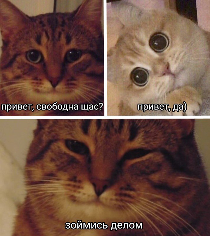 enough(с) t.me—katicide.jpg