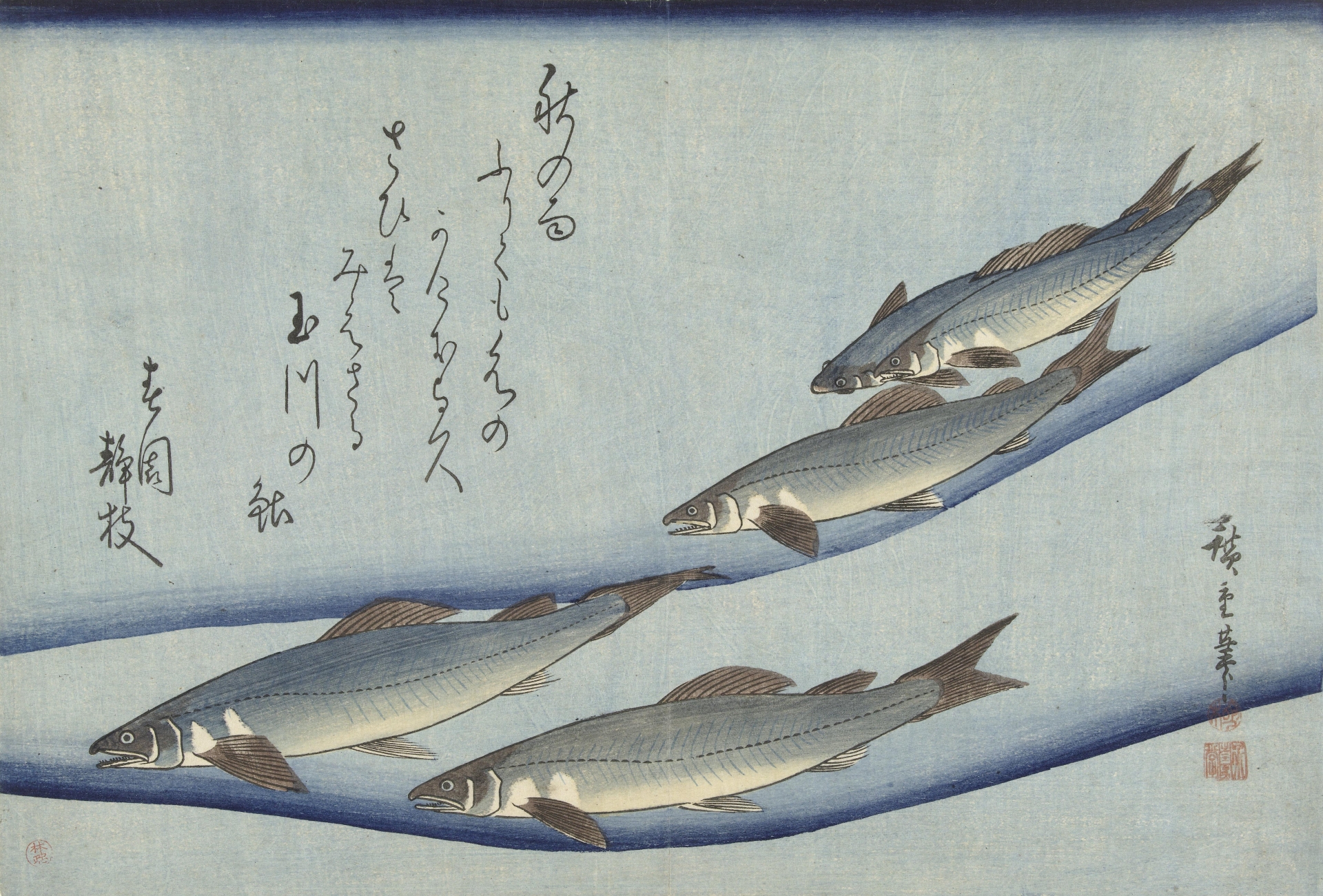 Utagawa Hiroshige - School of Trout (1830-40).jpeg