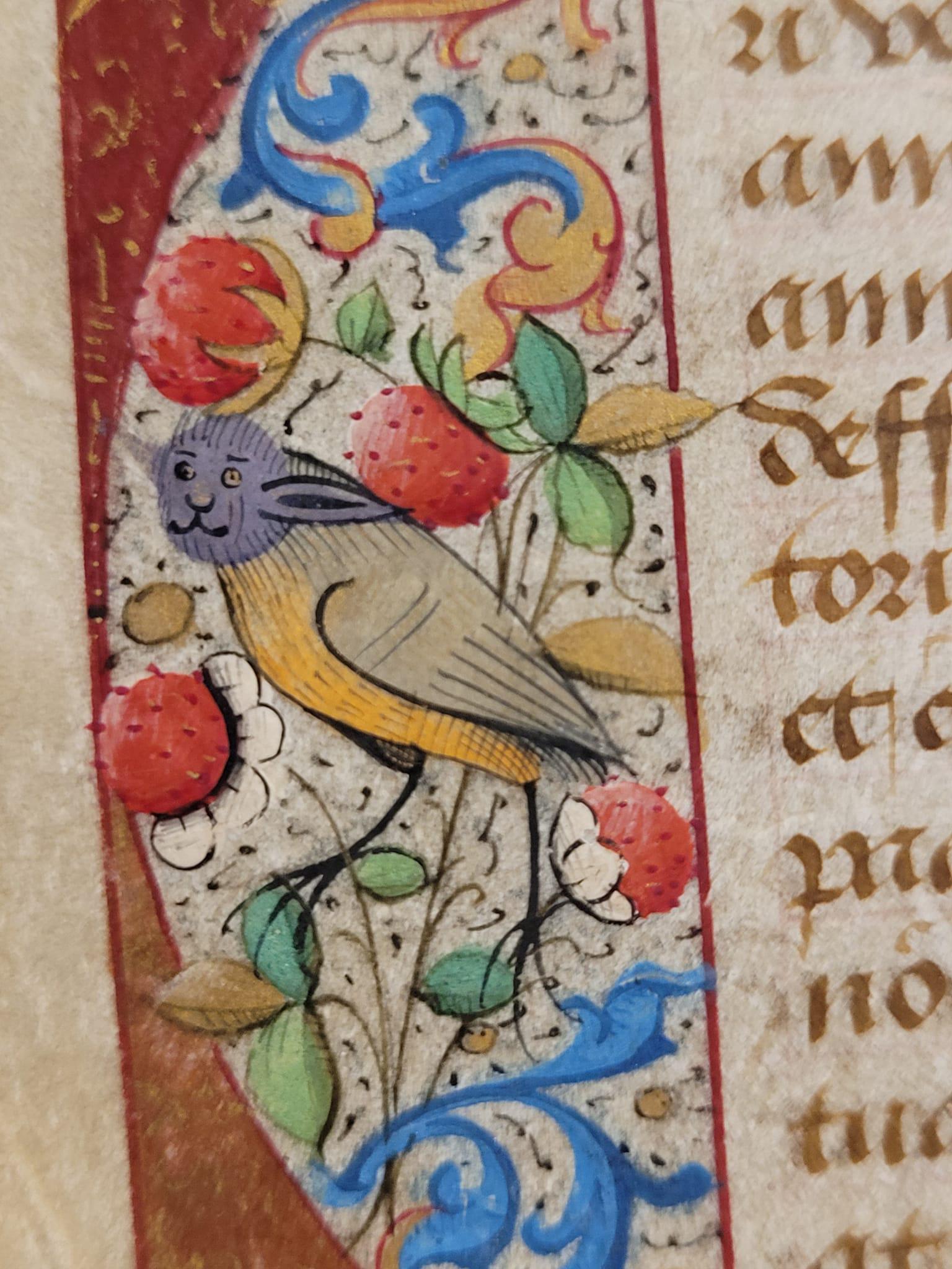 An illuminated border from a manuscript Book of Hours leaf (15th Century), containing a delightful hybrid creature my colleagues have dubbed a Yoda Bird.jpeg