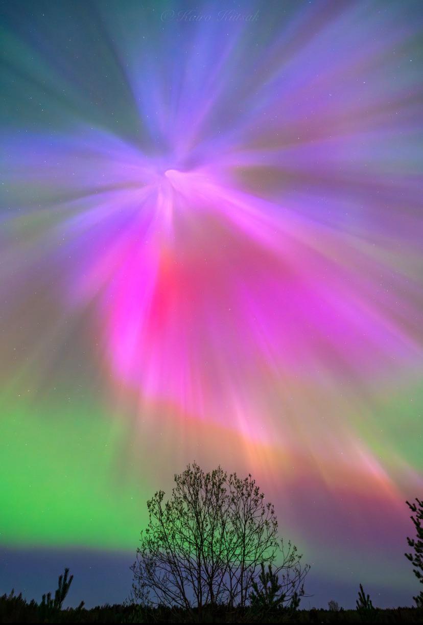 Cool looking Aurora Borealis in Estonia last night.jpeg