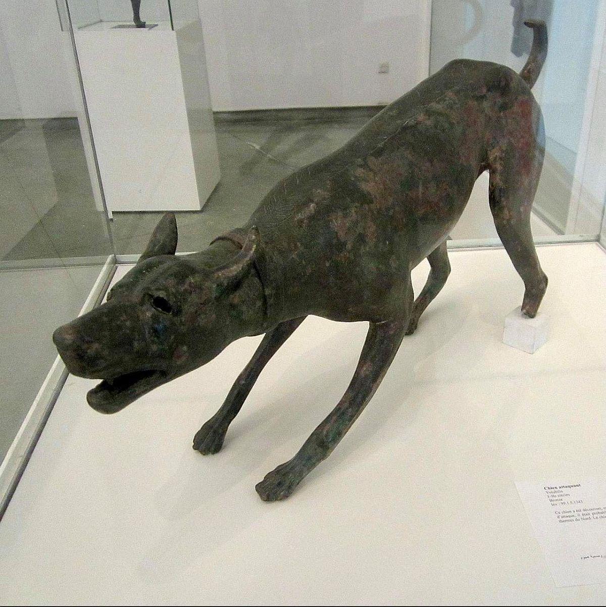 Roman sculpture from Volubilis (present northern Morocco) showing a dog. The object was found in 1916 and dates back to the beginning of the 2nd century CE. Currently, in the Archaeological Museum in Rabat.jpeg