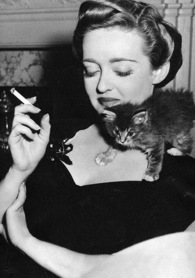 Бетт Дэвис с котенком, апрель 1943.jpg