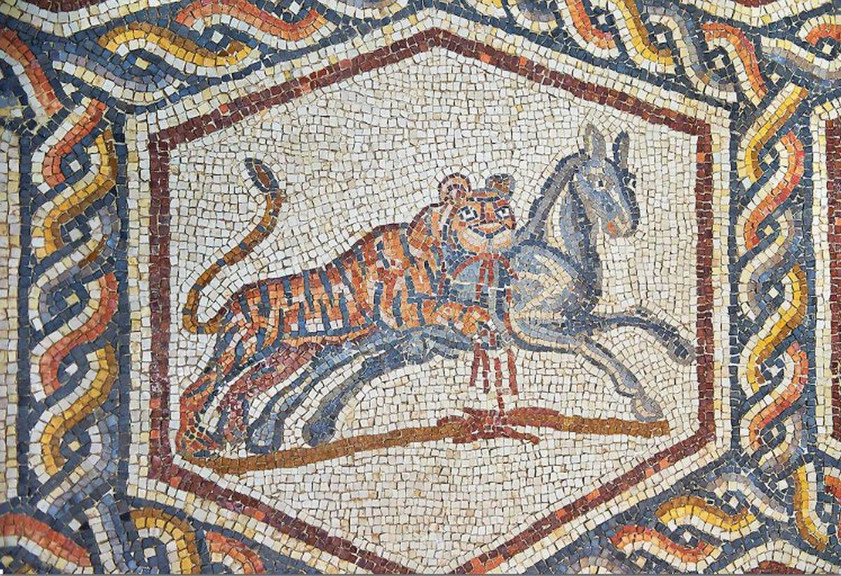 Roman floor mosaic showing a hunting tiger. The object dates back to the 3rd century CE.jpeg