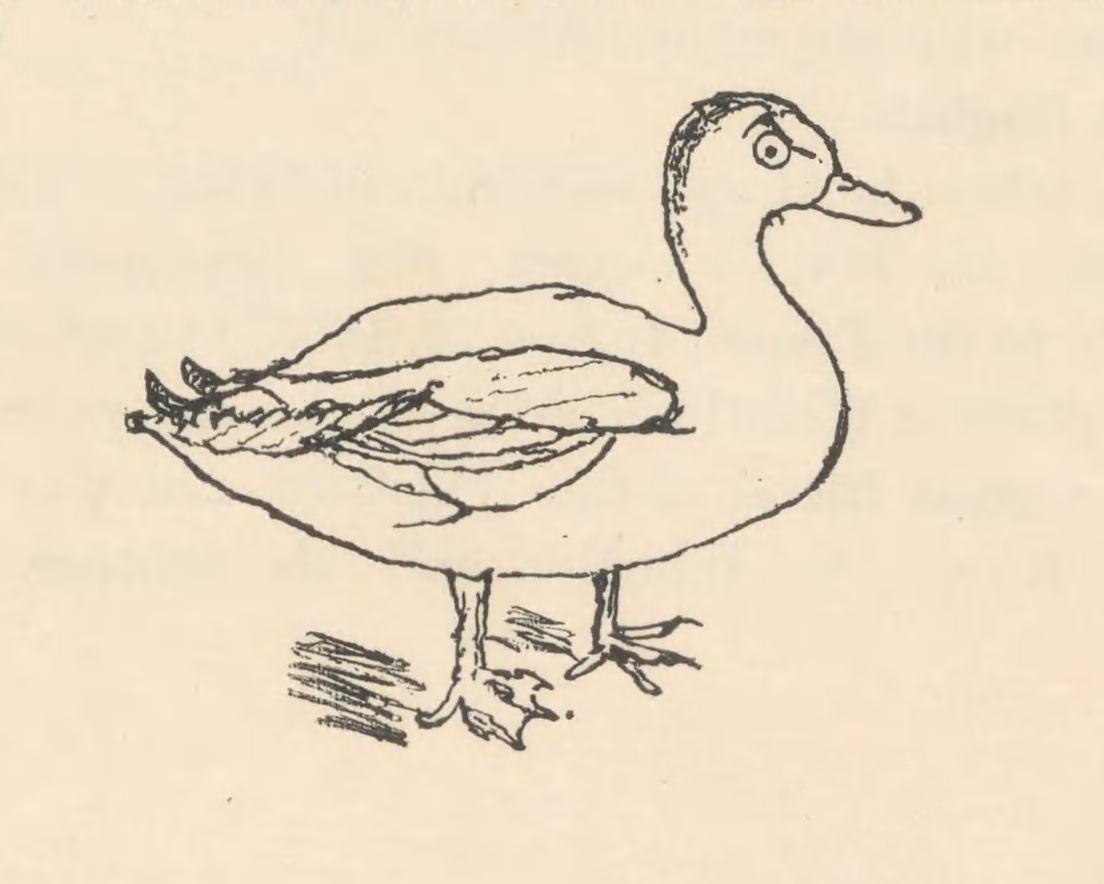 An illustration of a duck by the famed American artist James McNeill Whistler at age four (1838).jpeg