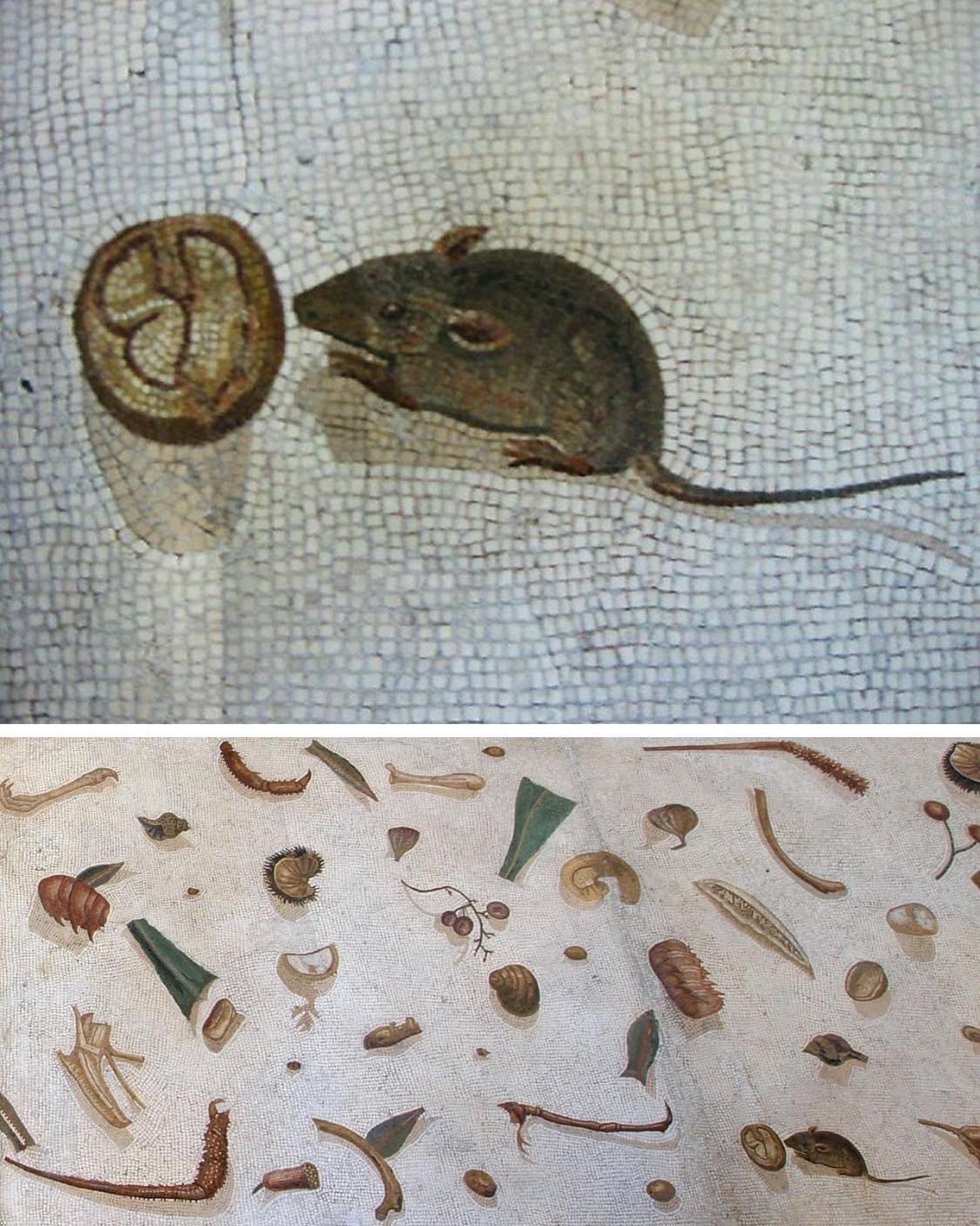 Detail from the 'unswept floor' mosaic made by Heraclitus, showing a mouse eating a walnut. 2nd century CE, now on display at the Vatican Museums.jpeg