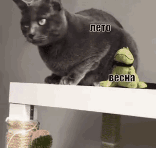 leto1.gif
