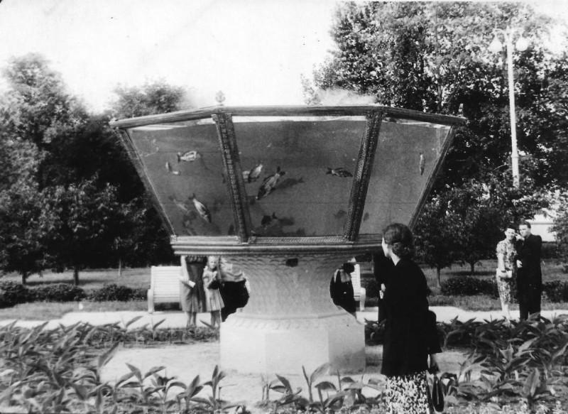 Street aquarium in Moscow, 1954.jpeg