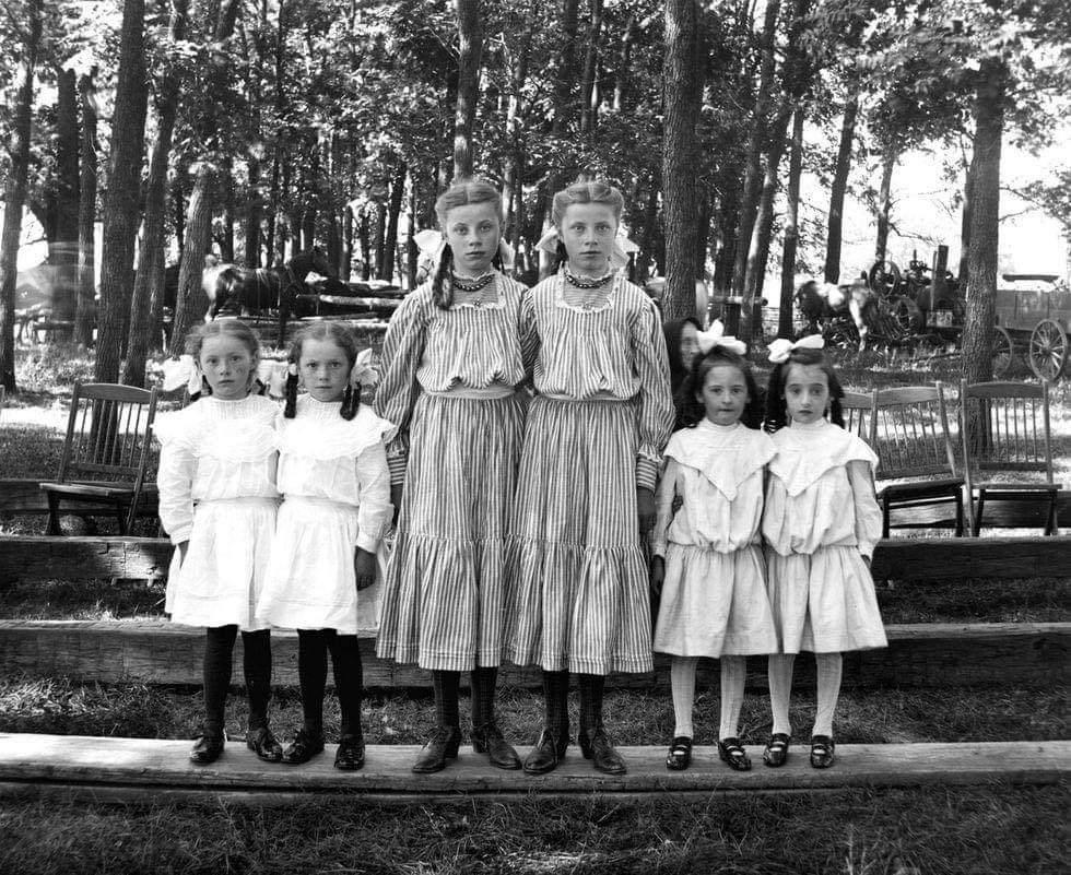 3 sets of twin girls pose together for a portrait in 1895.jpeg