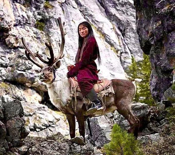 A young woman belonging to the Tsaatan tribe in Mongolia, Central Asia, riding a deer.jpeg