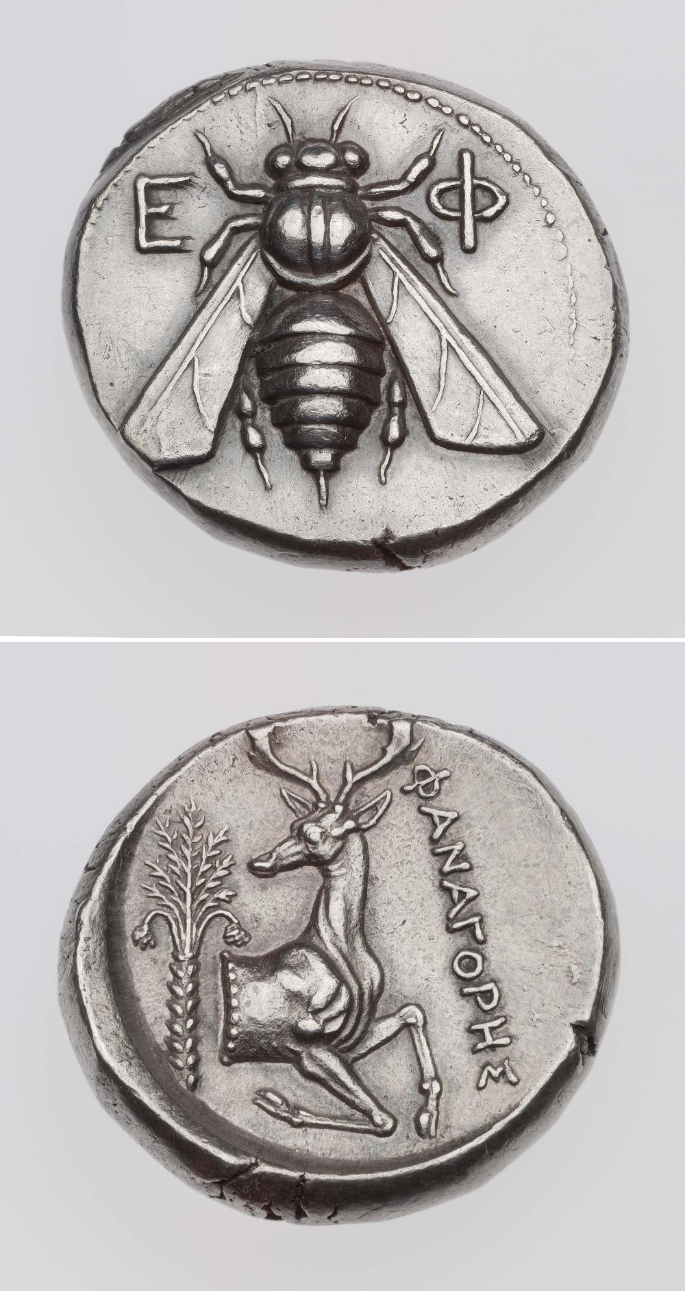 An ancient Greek tetradrachm of Ephesos with bee, struck under Phanagores. 390–325 BCE, minted in Ephesos in modern day Turkey, now housed at the Museum of Fine Arts in Boston.png