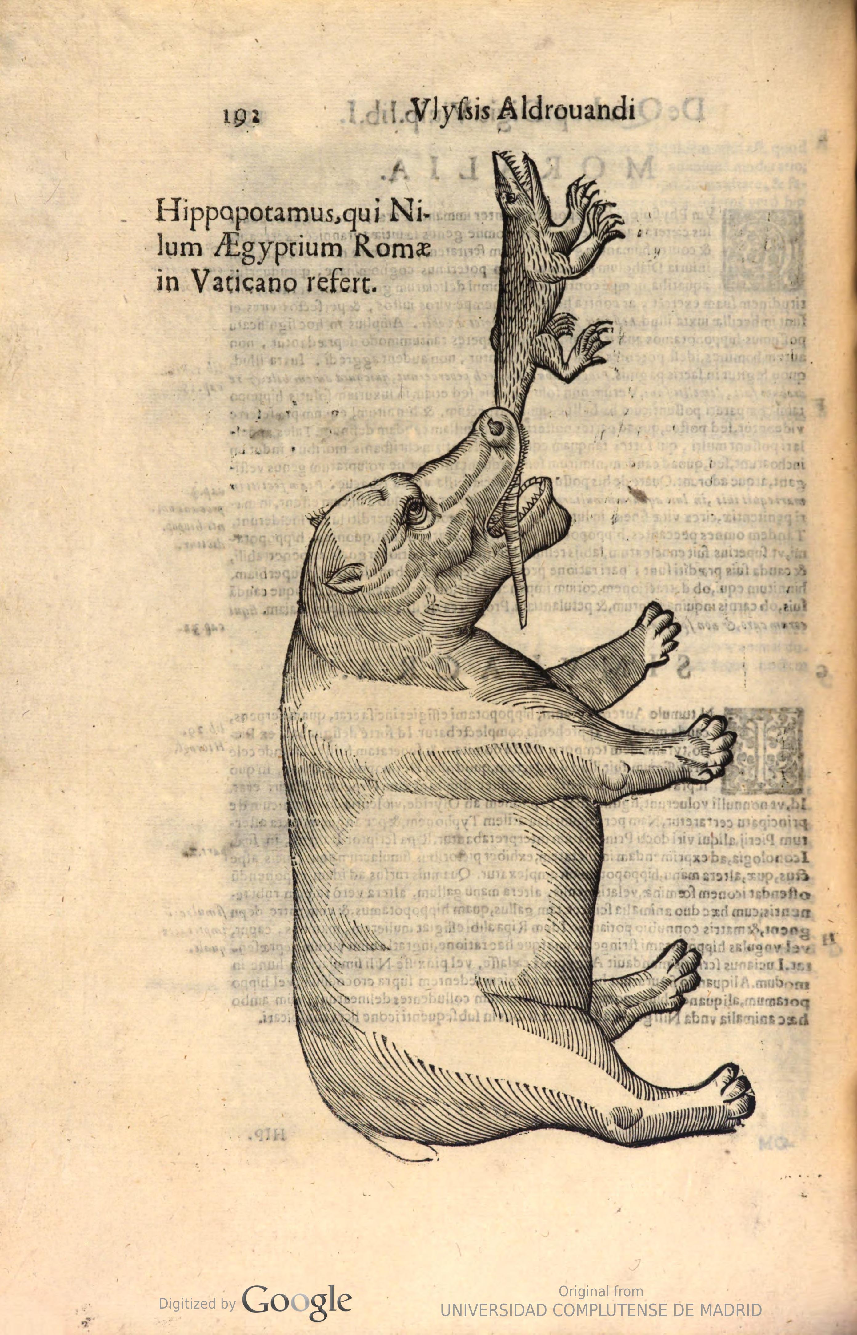 Ulisse Aldrovandi's illustration of a 'Hippopotamus and a Nile Crocodile',1646.jpeg