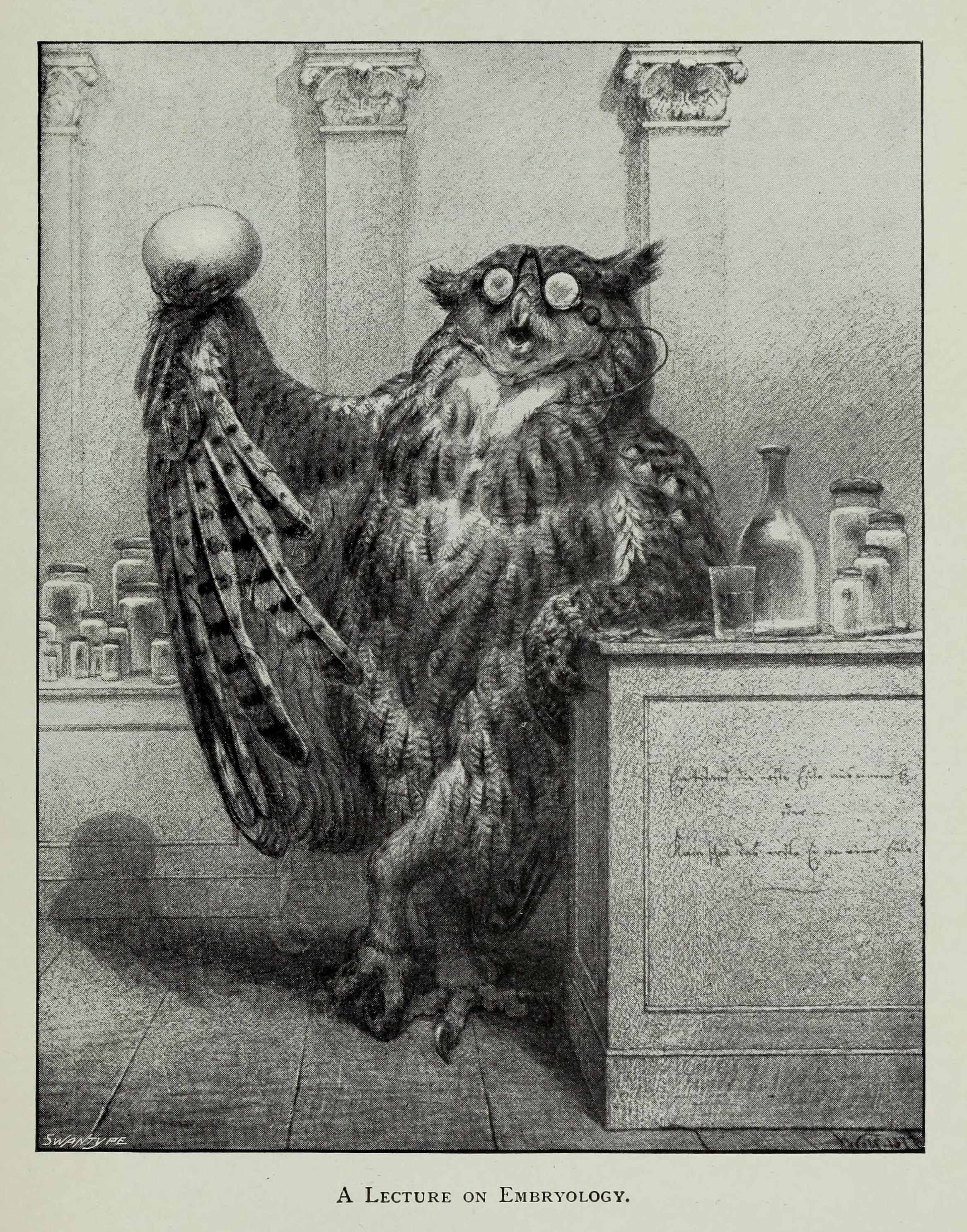 Lecture on Embryology by Joseph Wolf from his book The Life of Joseph Wolf, 1895.png