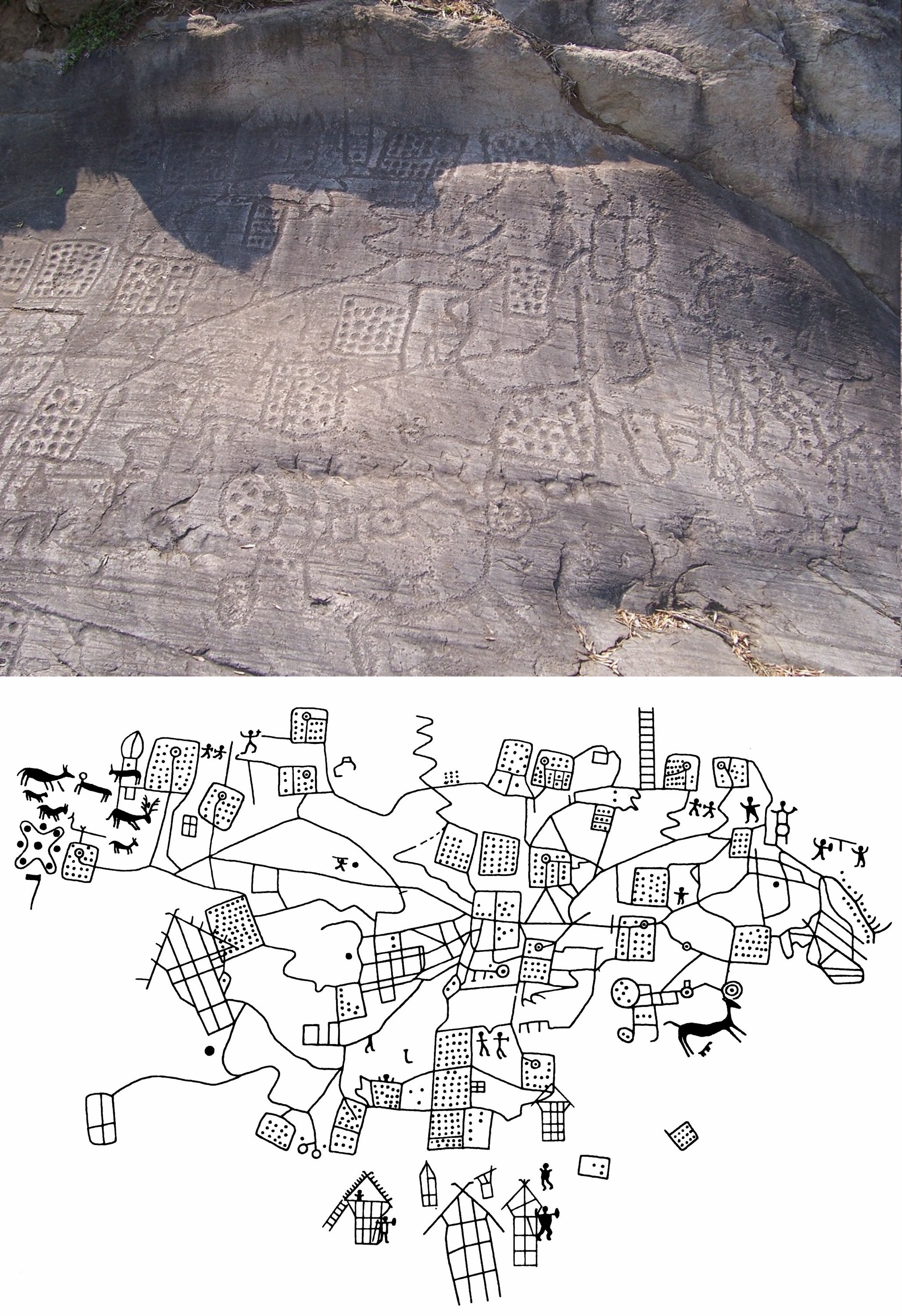 The Bedolina Map prehistoric rock, Camonica Valley petroglyph complex (Italy). One of the most ancient topographic maps.JPG