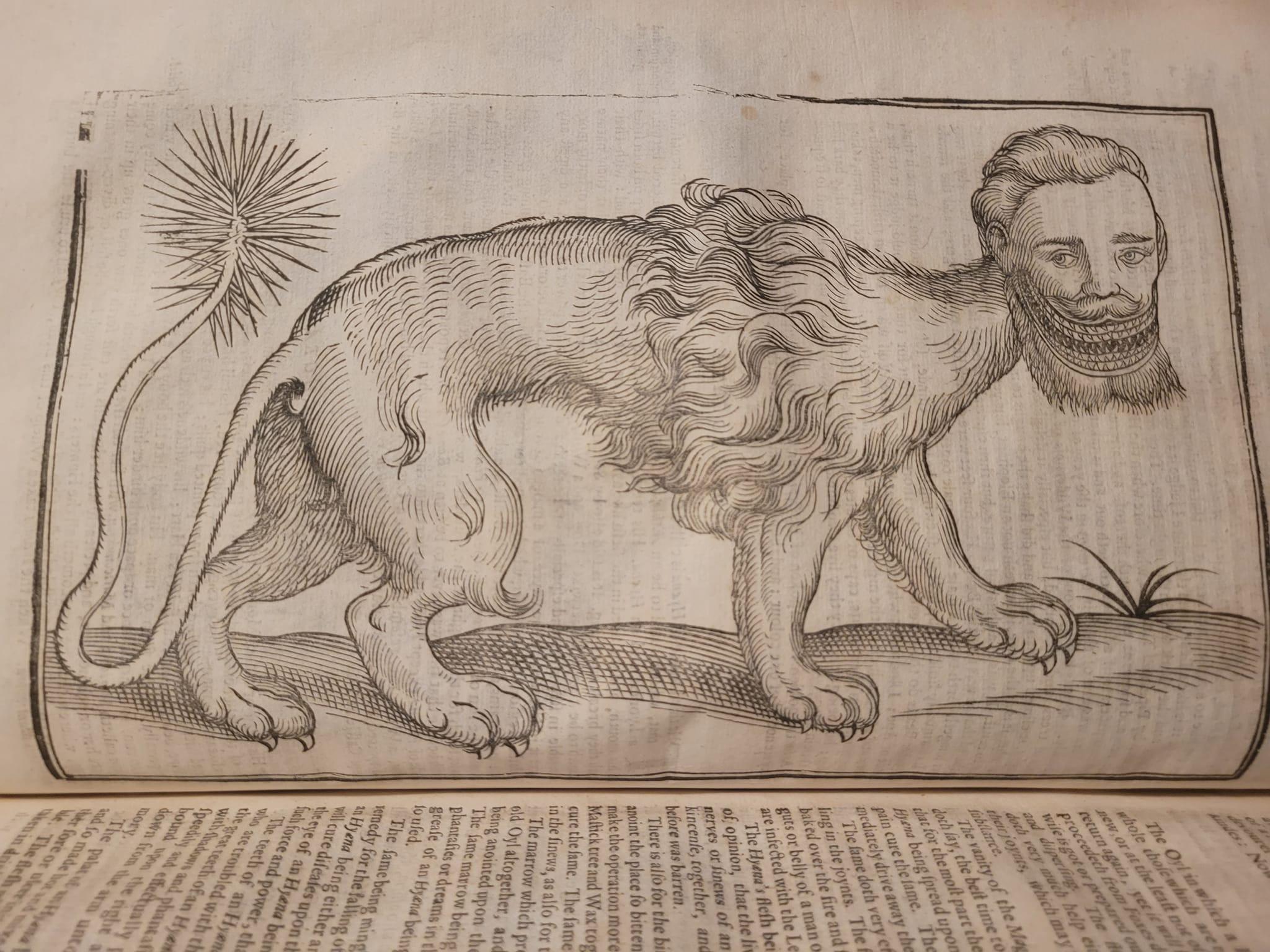 Edward Topsell’s History of Four-Footed Beasts and Serpents, 1658. This work is highly regarded for its beautiful series of illustrations, including this favorite of mine, the Manticore.jpeg