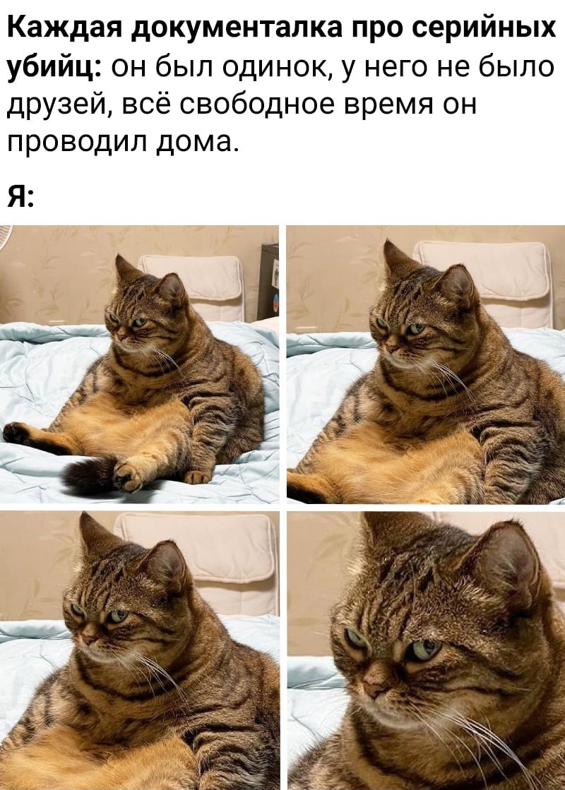 Профайл (c) Котицыд.jpg