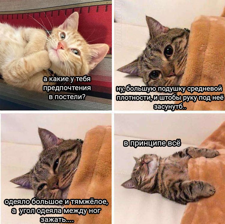 Bedroom Secrets (С) Котицыд.jpg
