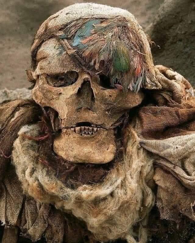 Archaeologists excavated more than 2,000 mummies at the Inca cemetery of Puruchuco in Peru. This mummy retains the headdress feathers that marked him as an individual of high rank.jpeg