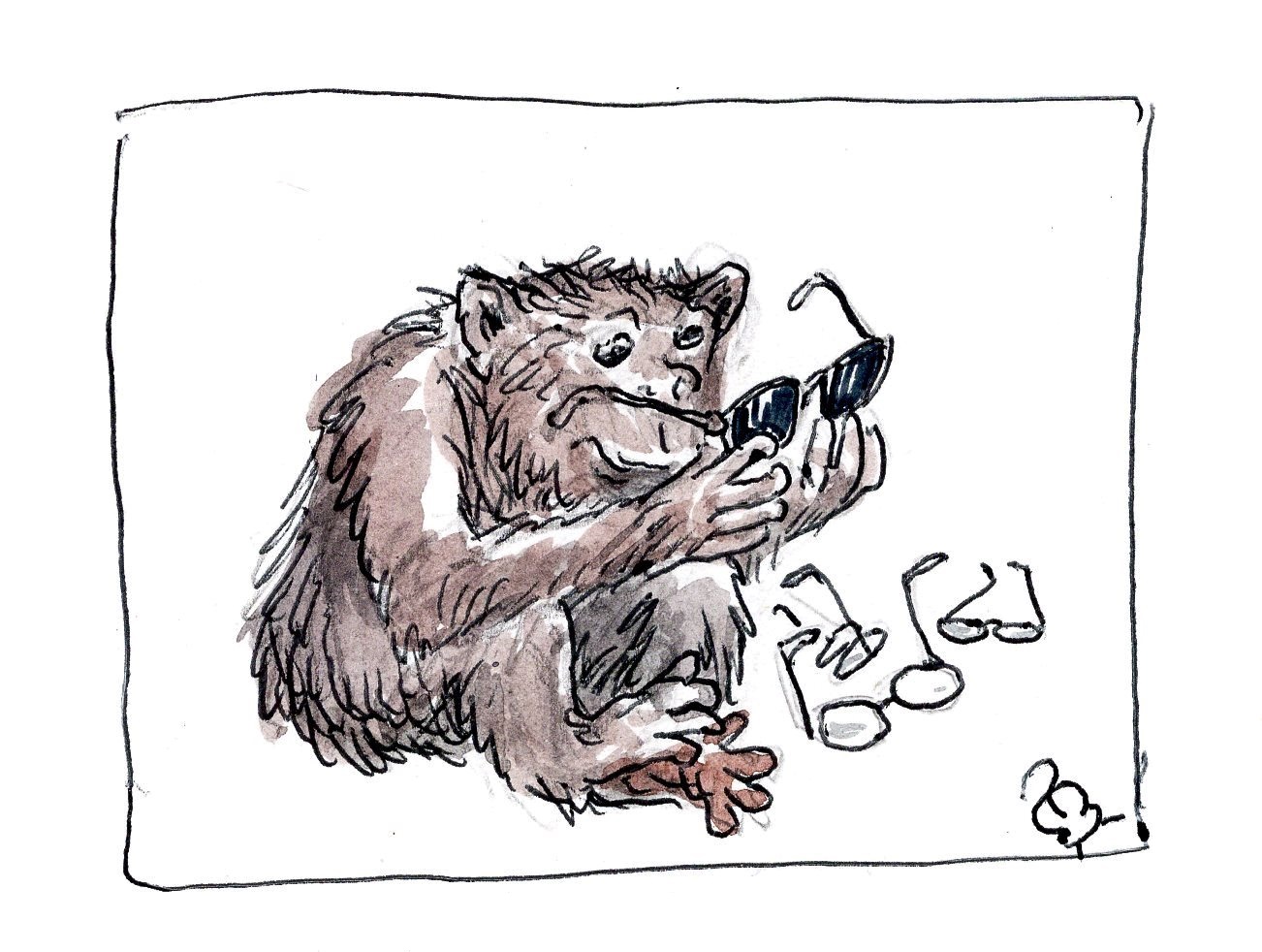 Новинка (c) Юрий Погорелов.jpg