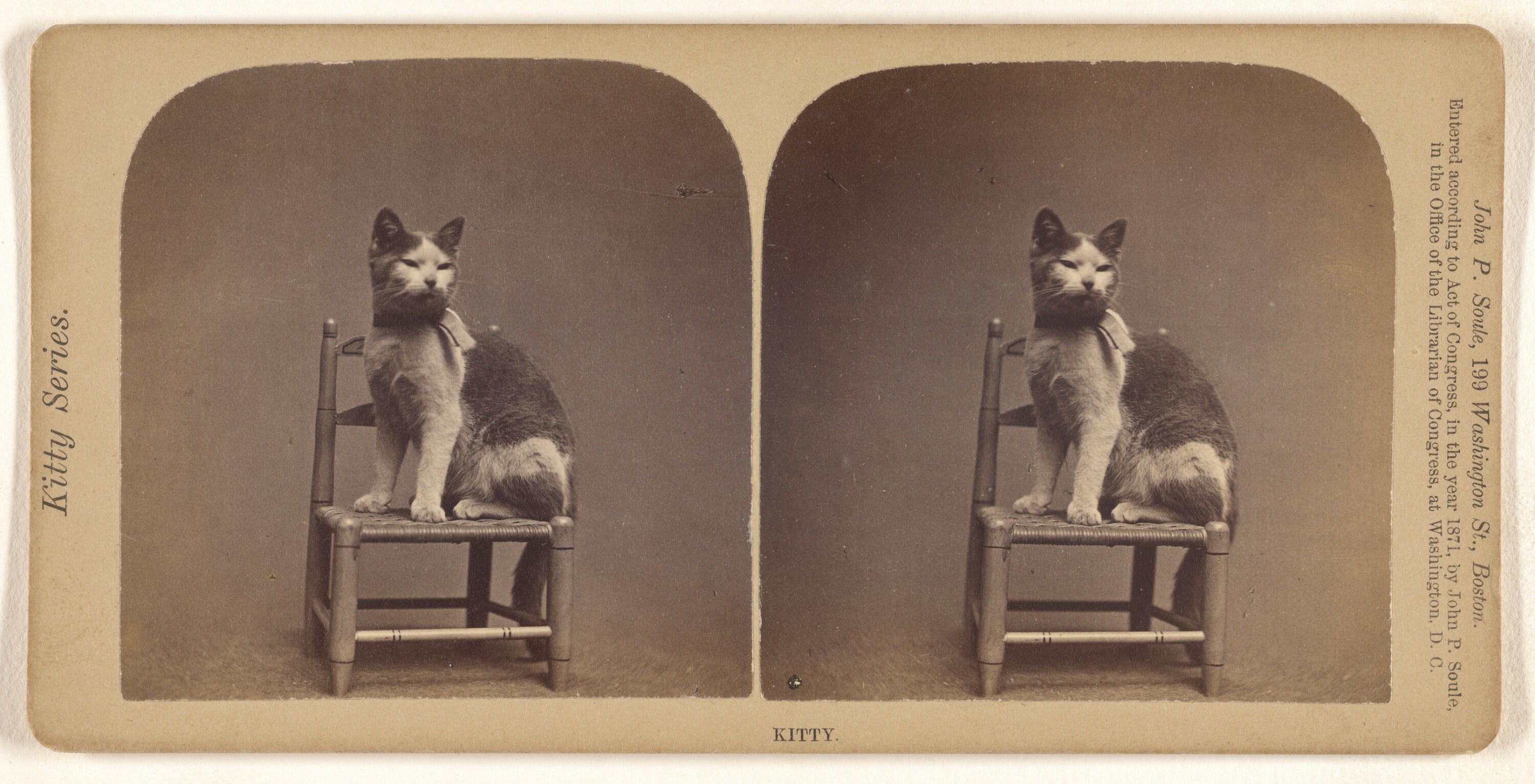 John P. Soule - Kitty., 1871.jpeg