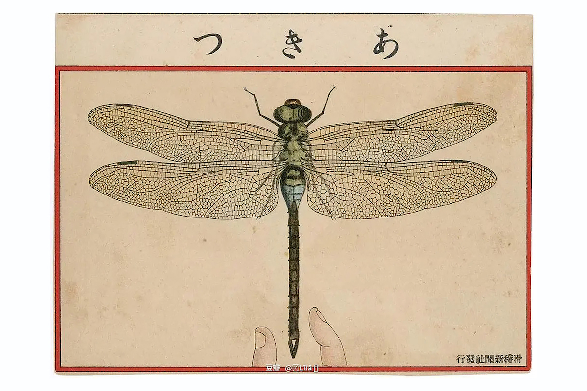Dragon-Fly-from-Ehagaki-sekai-Akitsu.jpeg