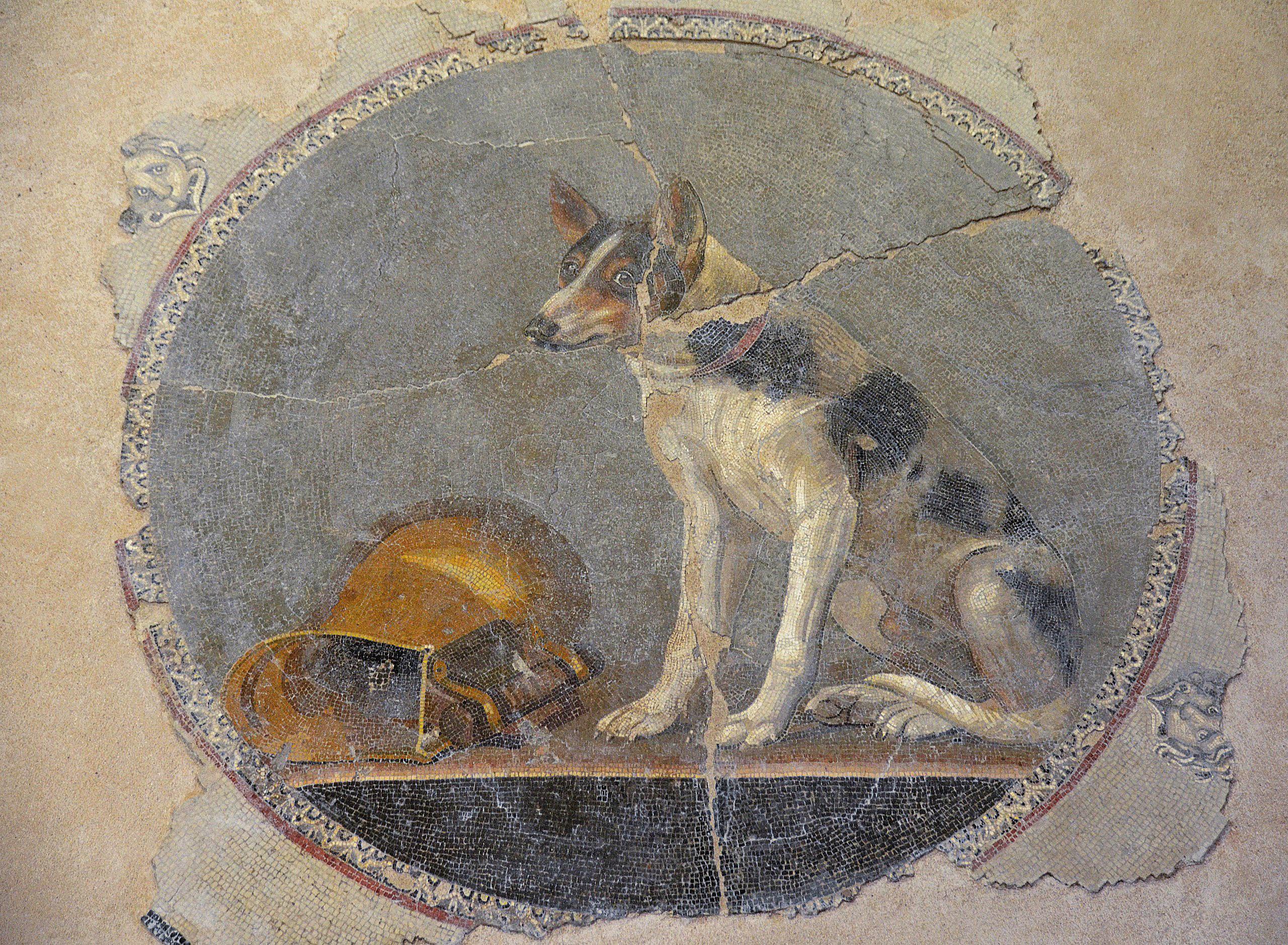 Ptolemaic floor mosaic from Alexandria depicting a dog sitting next to a gilded askos, 2nd century BC.jpeg