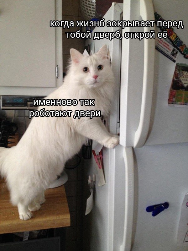 Solution (c) Котицыд.jpg